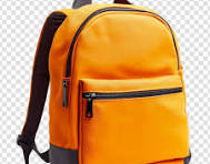 Travel Bag